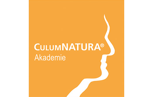 Logo-Akademie-522x330