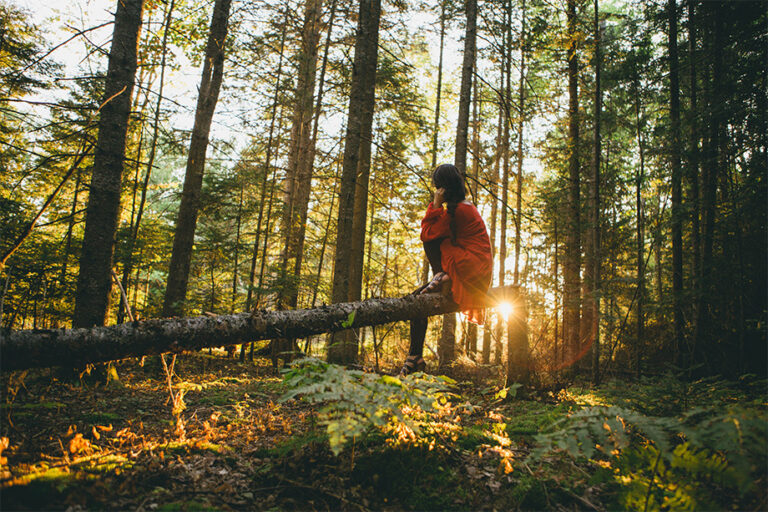 Eine Frau sitzt auf einem umgefallenen Baum im Wald und genießt die Atmosphäre