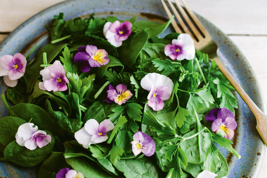 Auf einem Teller liegt ein grüner Salat, der mit Blüten von Stiefmütterchen verziert ist