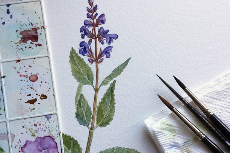 Handgezeichnete Pflanzenillustration mit einer Farbpalette und Pinseln daneben