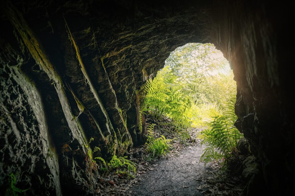 Höhle aus Felsen, aus der mit Blick auf einen Wald hinausfotografiert wurde