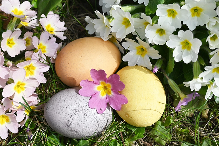 Ein blaues, gelbes und oranges Osterei liegen in einer Blumenwiese