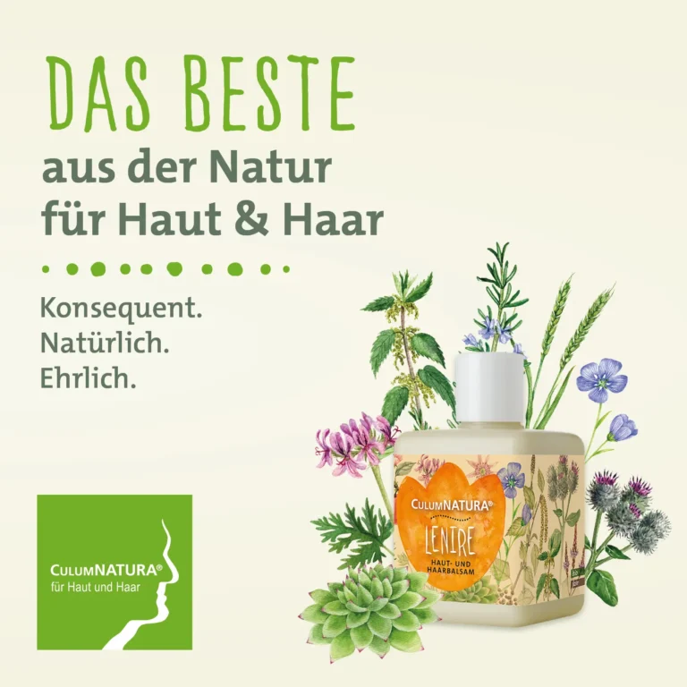 Folder Haut Und Haarpraktiker