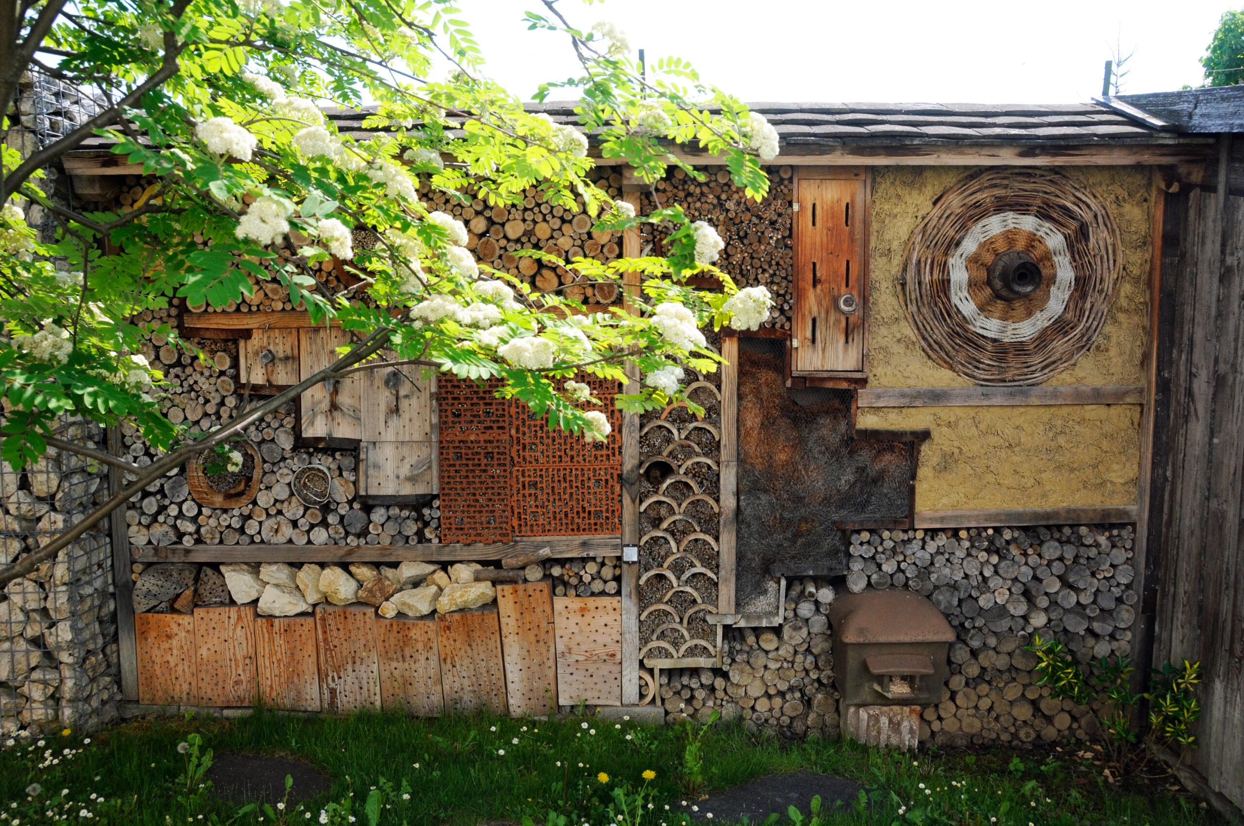 Ein Nistkasten aus Holz und anderen natürlichen Materialien, links ist ein Baum