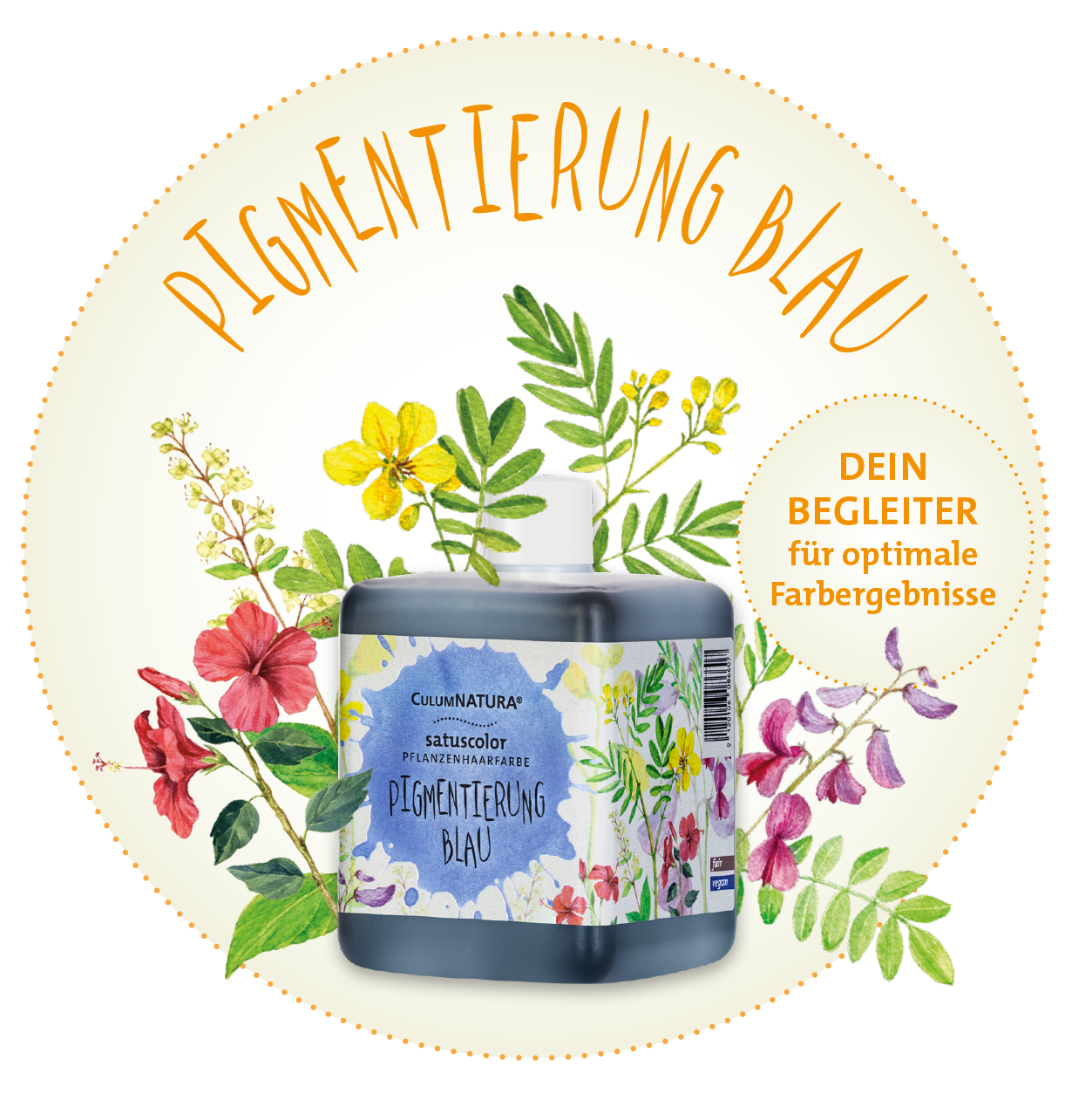 Pigmentierung Blau mit Illustrationen der Inhaltsstoffe