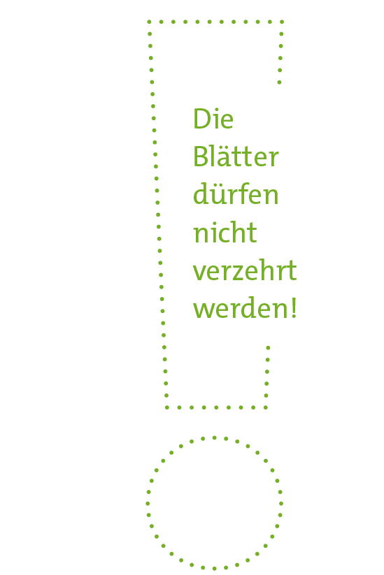 Rufzeichen mit einer Warnung, dass Blätter nicht verzehrt werden dürfen